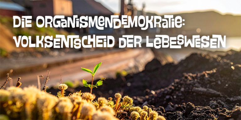 Was ein Pilz zum Schulbau sagt
