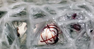 Bildausschnitt einer Glasskulptur