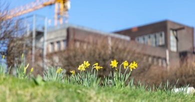 Zechengelände mit Baukran im Hintergrund, im Vordergrund Pflanzen