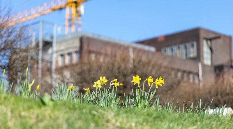 Zechengelände mit Baukran im Hintergrund, im Vordergrund Pflanzen