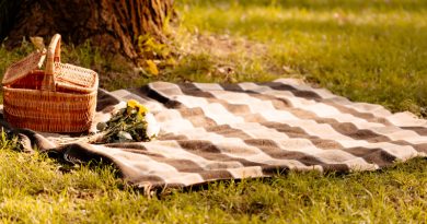 Picknickdecke mit Korb auf grüner Wiese