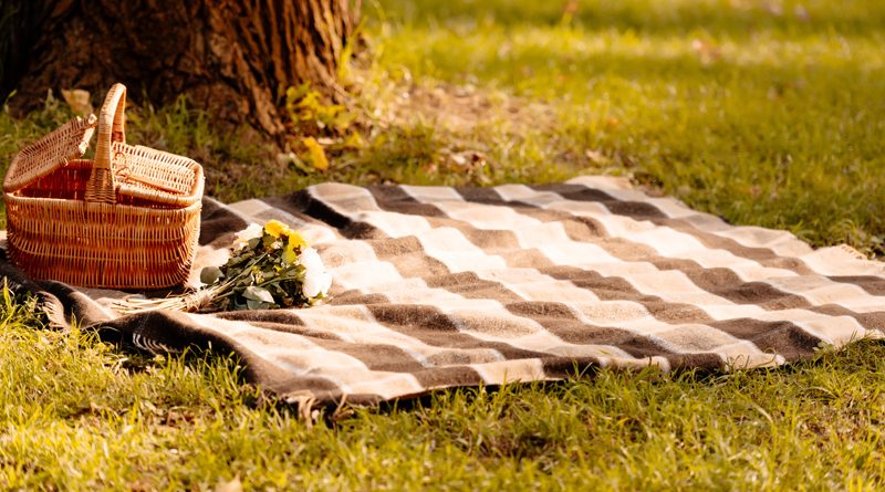 Picknickdecke mit Korb auf grüner Wiese